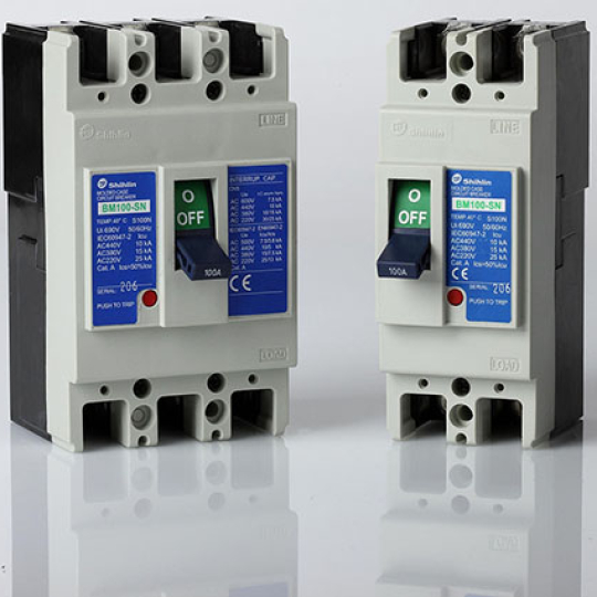 BM 100-SN 2P 15kA (10 ~ 100A)