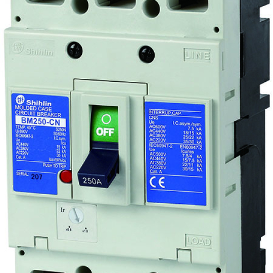 BM 250-CN 3P 22kA (125 ~ 250A) (Adj)