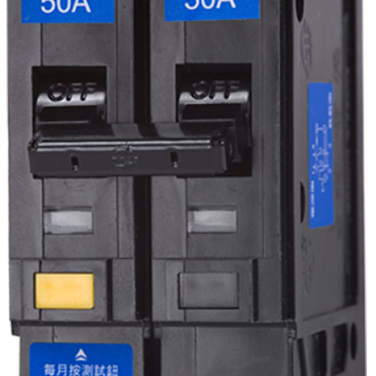 NVB-50L 2P 5kA (15 ~ 50A)